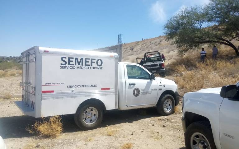semefo