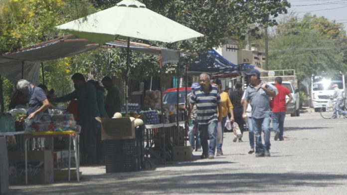 Tianguis-Los-Olivos-1