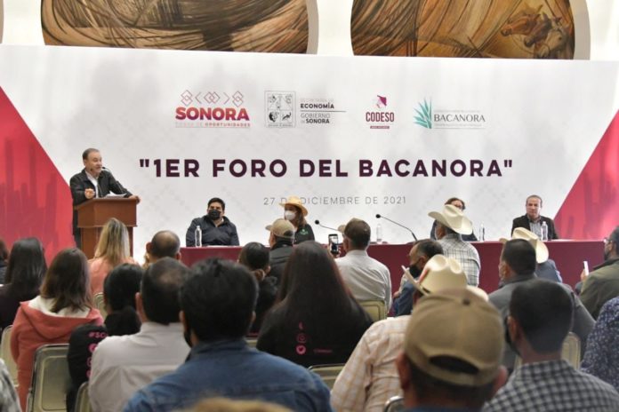 Encabeza mandatario Estatal, primer foro de Bacanora